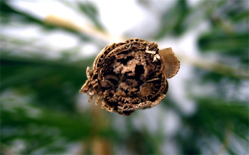 想健身减肥没毅力