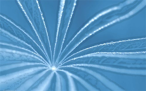 健身没力气要补充什么意思