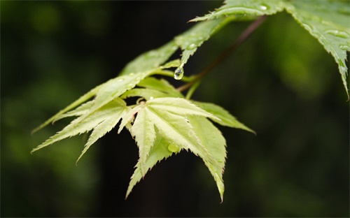 健身操器材有哪些,家庭健身器材选购须注意什么?