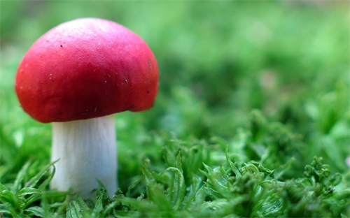 健身招牌,零基础考入健身教练需一段时间掌握基本健身技巧